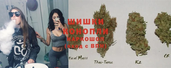 spice Алексин