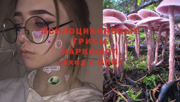 spice Алексин