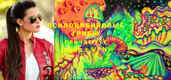 spice Алексин