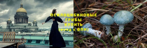 эйфоретик Михайловка