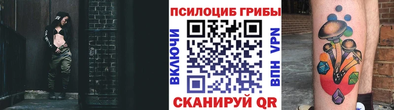 где можно купить   Полтавская  Псилоцибиновые грибы мухоморы 
